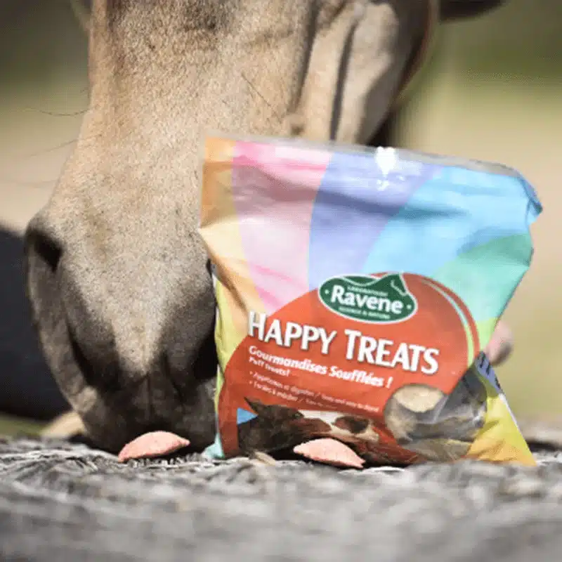 happy-treats-1.png Artisan du cuir - acccueil | Artisan du Cuir
