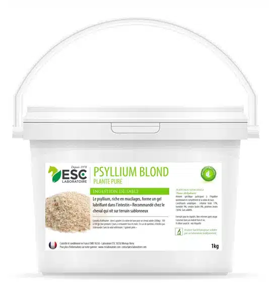 Psyllium blond