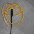 CECM1