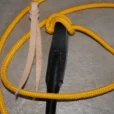 CECM2