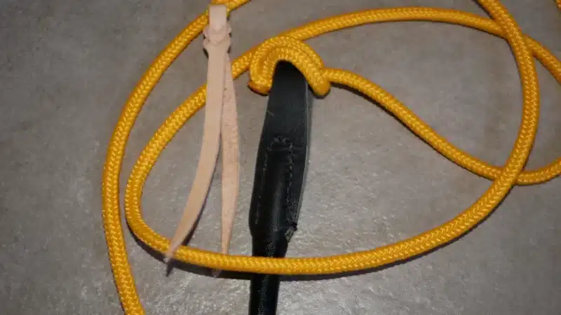 CECM2 CECM2