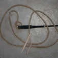 CECMD1