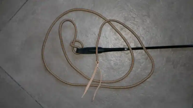 CECMD1 CECMD1