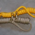 CEL1