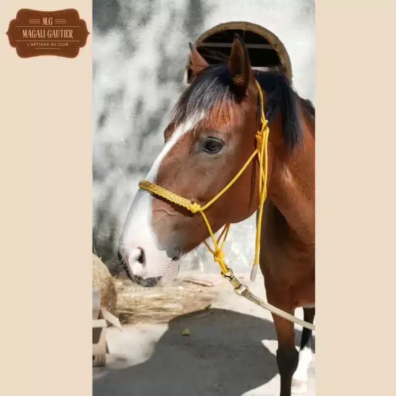 Artisan du cuir - acccueil | Artisan du Cuir
